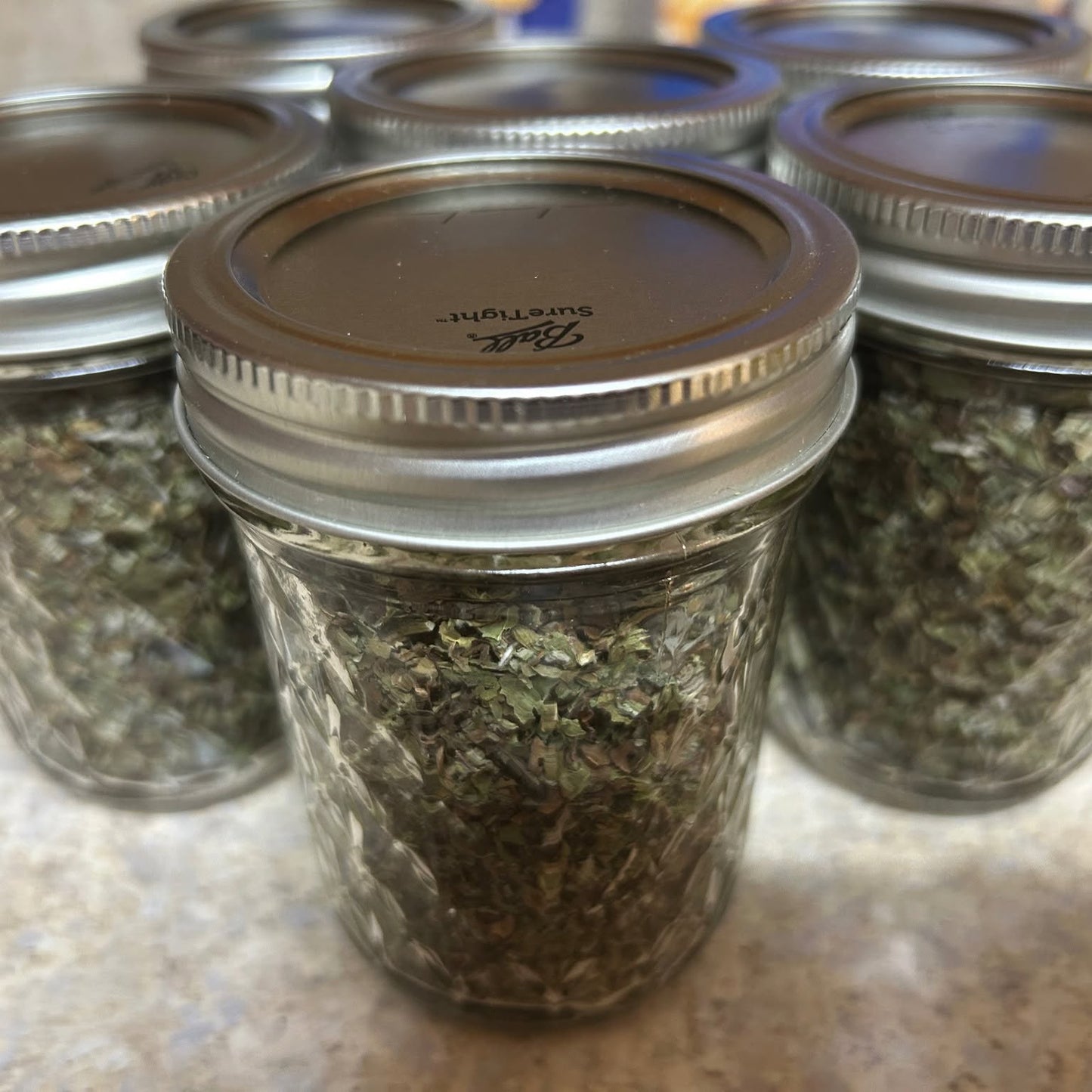 Jars of dried herbs with metal lids on a countertop